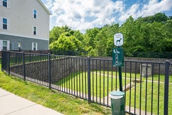 Dog waste stations